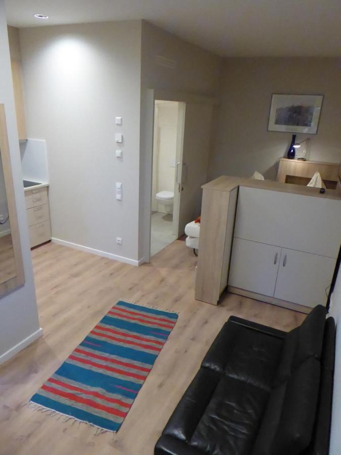 Studio Apartment 2 テュービンゲン エクステリア 写真